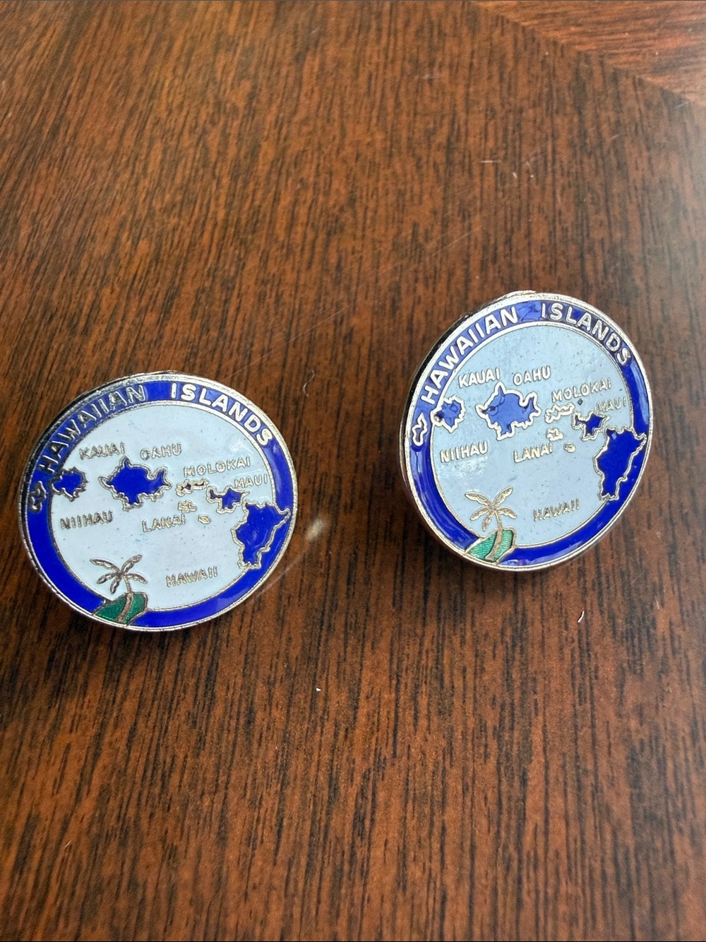 Vintage Hawaiian Islands Enamel Clip-On Earrings Souvenir Jewelry